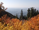 photo thumbnail #11