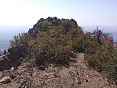 photo thumbnail #14