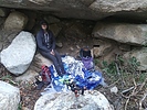 recent photo