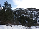 photo thumbnail #10