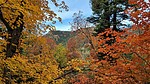photo thumbnail #5