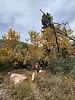 photo thumbnail #5