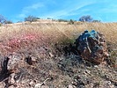 photo thumbnail #1