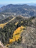 photo thumbnail #6