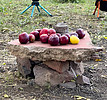 photo thumbnail #5