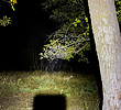 photo thumbnail #11