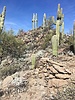 photo thumbnail #7