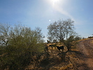 photo thumbnail #5