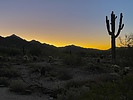 photo thumbnail #1