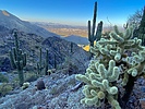 photo thumbnail #4