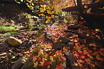 photo thumbnail #13