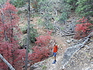 photo thumbnail #1