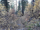 photo thumbnail #2