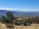 2021-10-31 :2: Agua Caliente Hill :: DixieFlyer