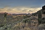 photo thumbnail #10
