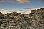 photo thumbnail #3