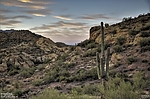 photo thumbnail #4
