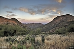 photo thumbnail #5