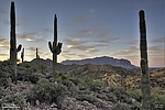 photo thumbnail #6