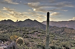 photo thumbnail #9