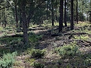 photo thumbnail #3