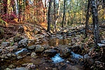photo thumbnail #2