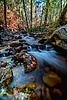photo thumbnail #10