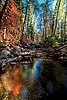 photo thumbnail #11