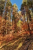 photo thumbnail #14