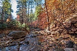 photo thumbnail #15