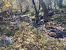 recent photo