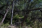 photo thumbnail #10