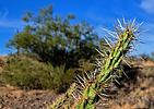photo thumbnail #13
