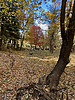 photo thumbnail #15