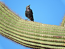 photo thumbnail #8
