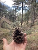 photo thumbnail #10