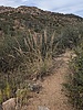 photo thumbnail #1
