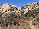 photo thumbnail #5