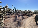 photo thumbnail #1