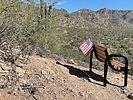 photo thumbnail #4