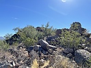 photo thumbnail #6