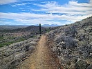 photo thumbnail #3