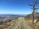 photo thumbnail #4