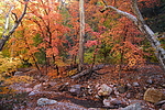 photo thumbnail #4