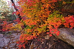 photo thumbnail #12