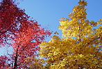 photo thumbnail #15
