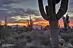 photo thumbnail #2