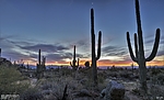 photo thumbnail #3
