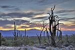 photo thumbnail #6