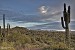 photo thumbnail #8